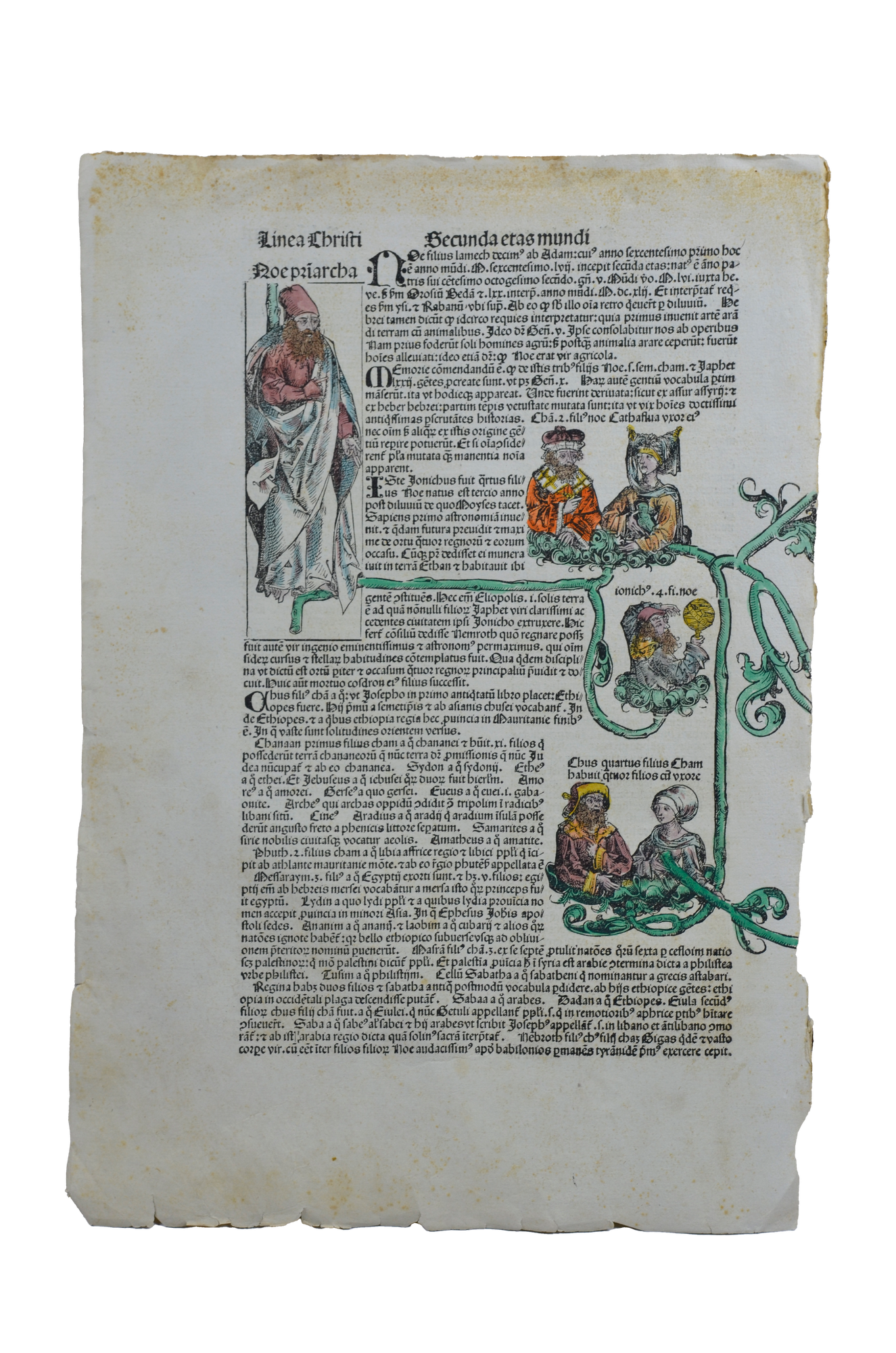 Hartmann Schedel: Liber Chronicarum XIII. - Noé -