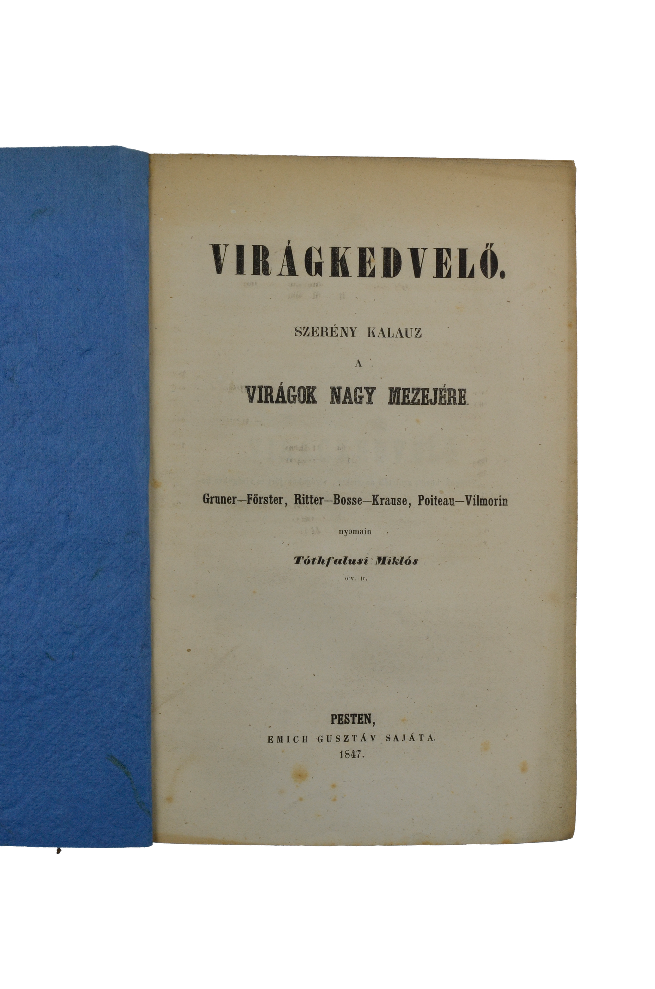 TÓTHFALUSI Miklós: Virágkedvelő