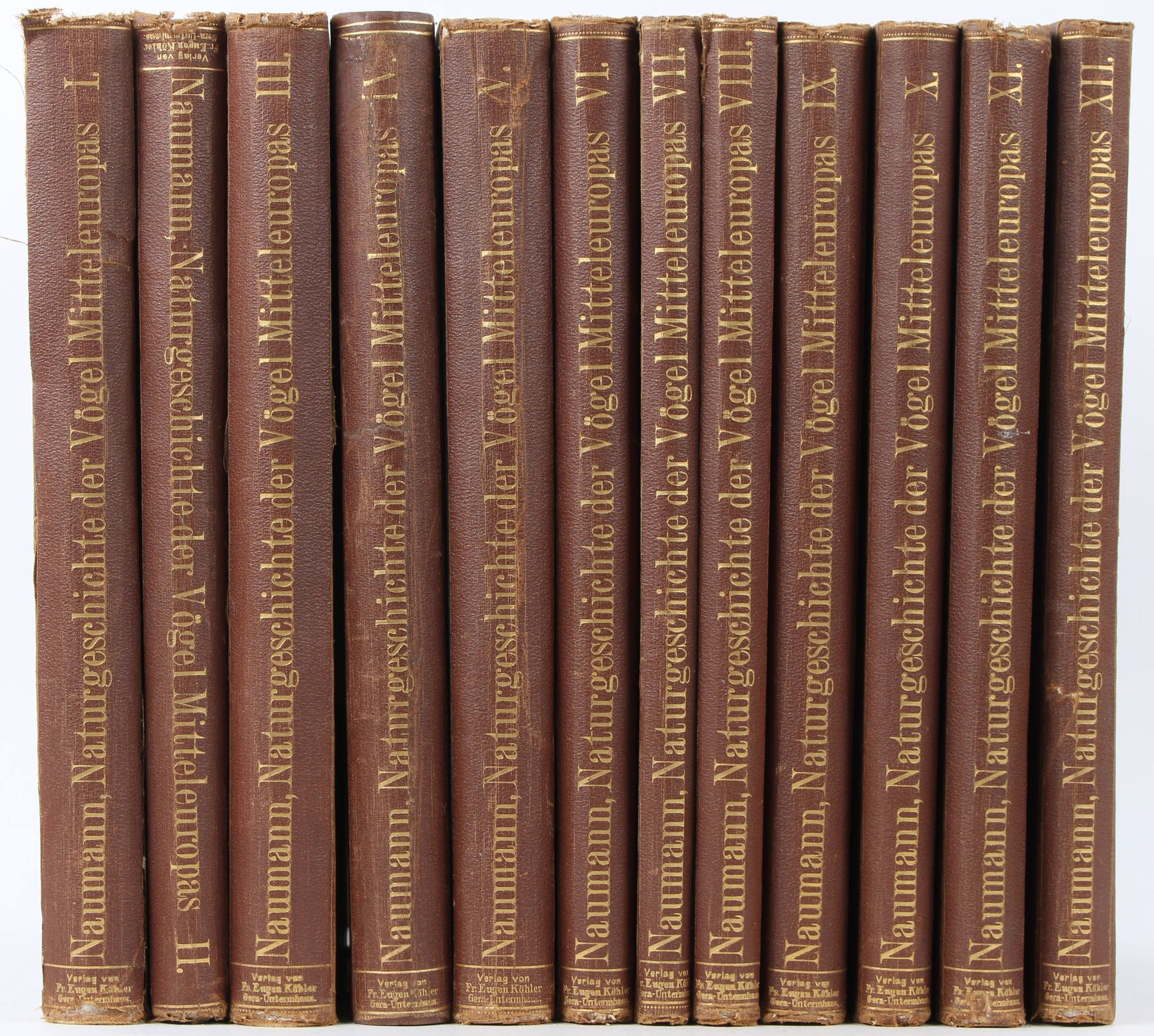 Naumannn Johannes: Naturgeschichte der Vögel Mitteleuropas I-XII.