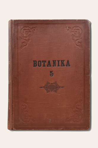 Johann Wilhelm Weinmann: Phytanthoza iconographia II. [C-D-E-F]
