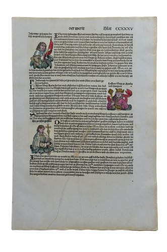 Hartmann Schedel: Liber Chronicarum CCXXXV - Nápolyi László magyar trónkövetelő -