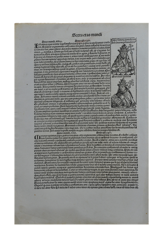 Hartmann Schedel: Liber Chronicarum  CCXXXVIII.