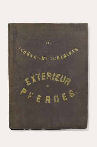 Henry Alken: Das Schöne und Mangelhafte im Exterieur des Pferdes